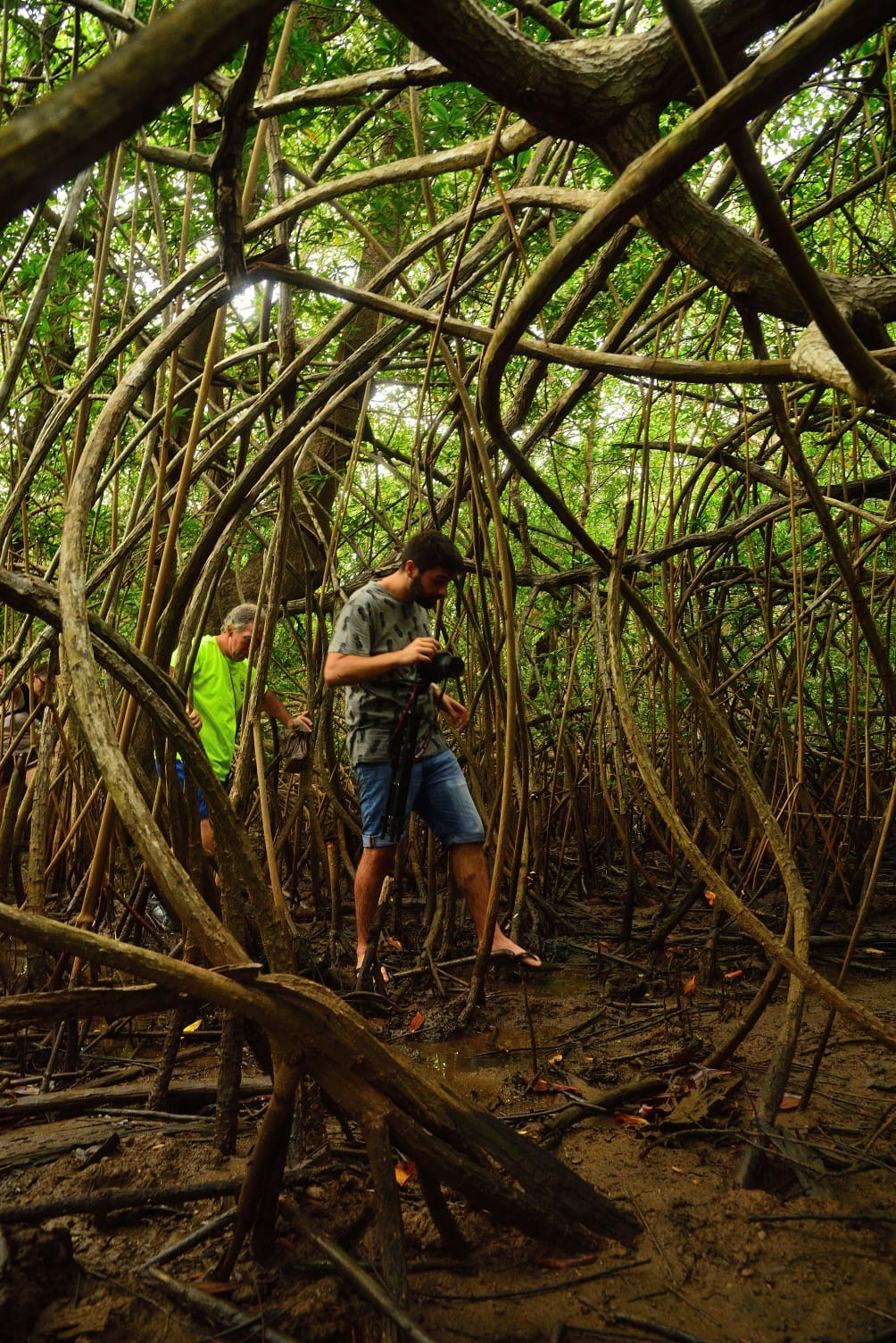 Go to Juanma Clemente-Alloza's profile