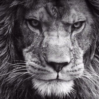 Go to Suleyman Naumov's profile