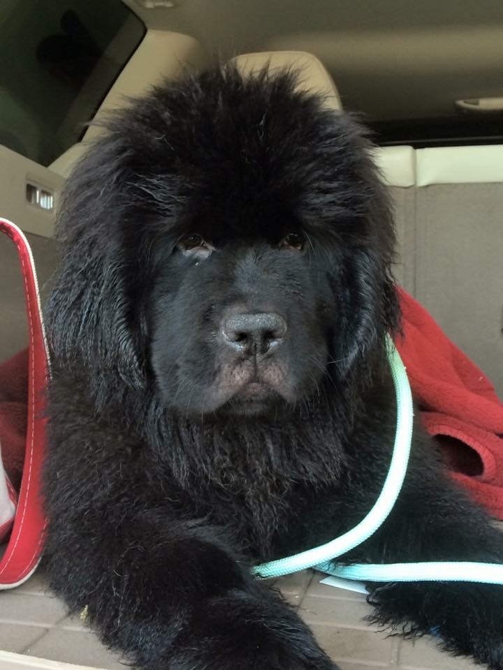 Go to Mana Amir's profile