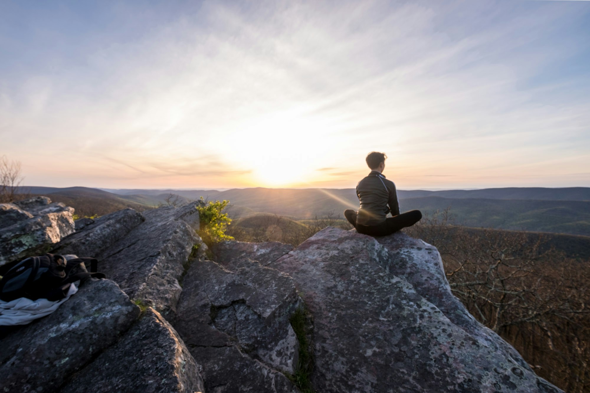 Go to Amanda Phung's profile