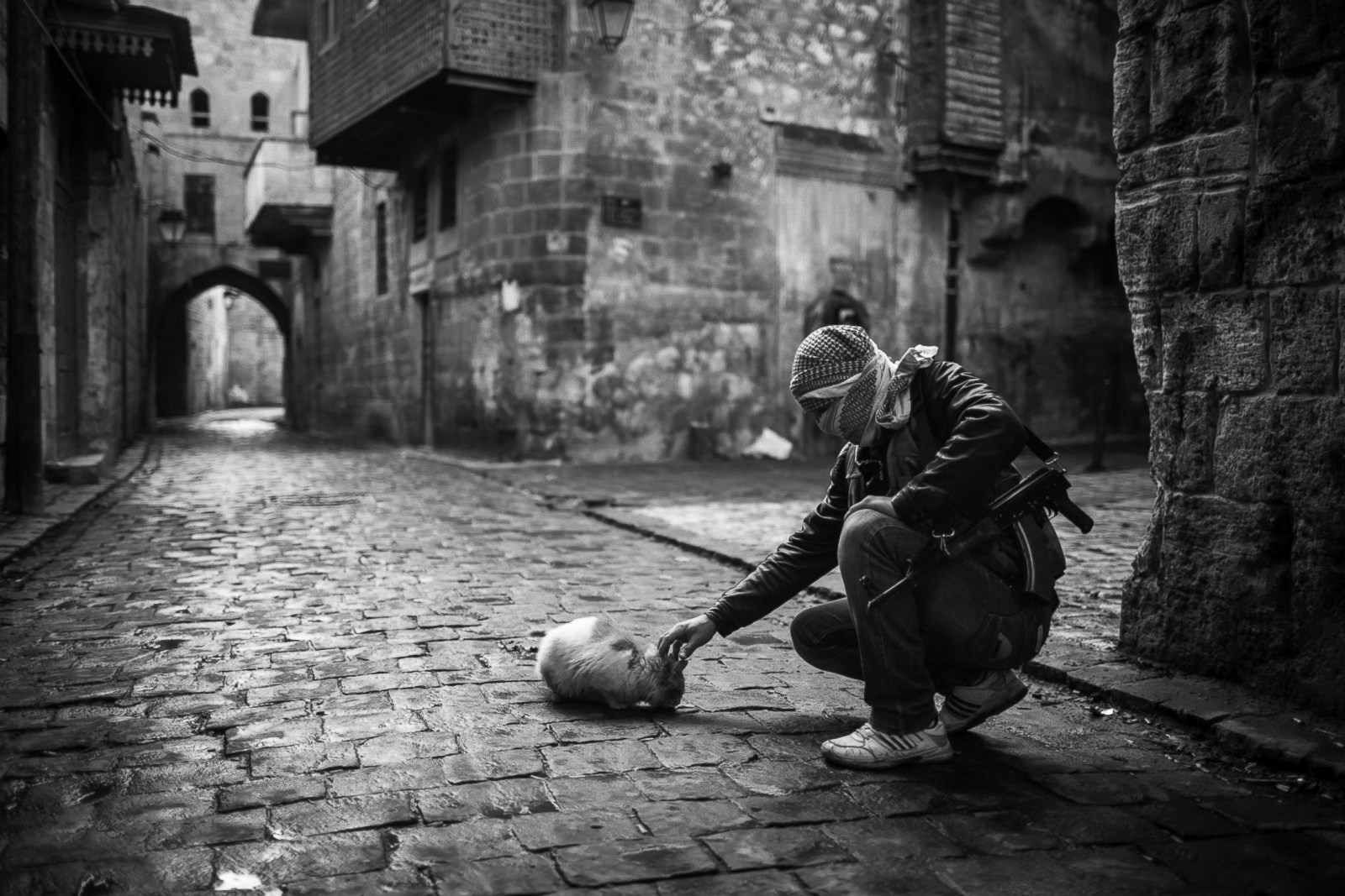 Fad Lanのプロフィールを見る