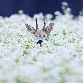 Accéder au profil de Thijs Schouten