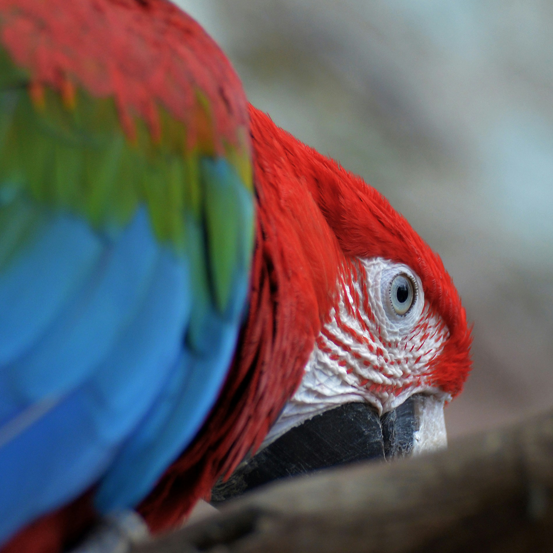 Go to cubicroot XYZ's profile