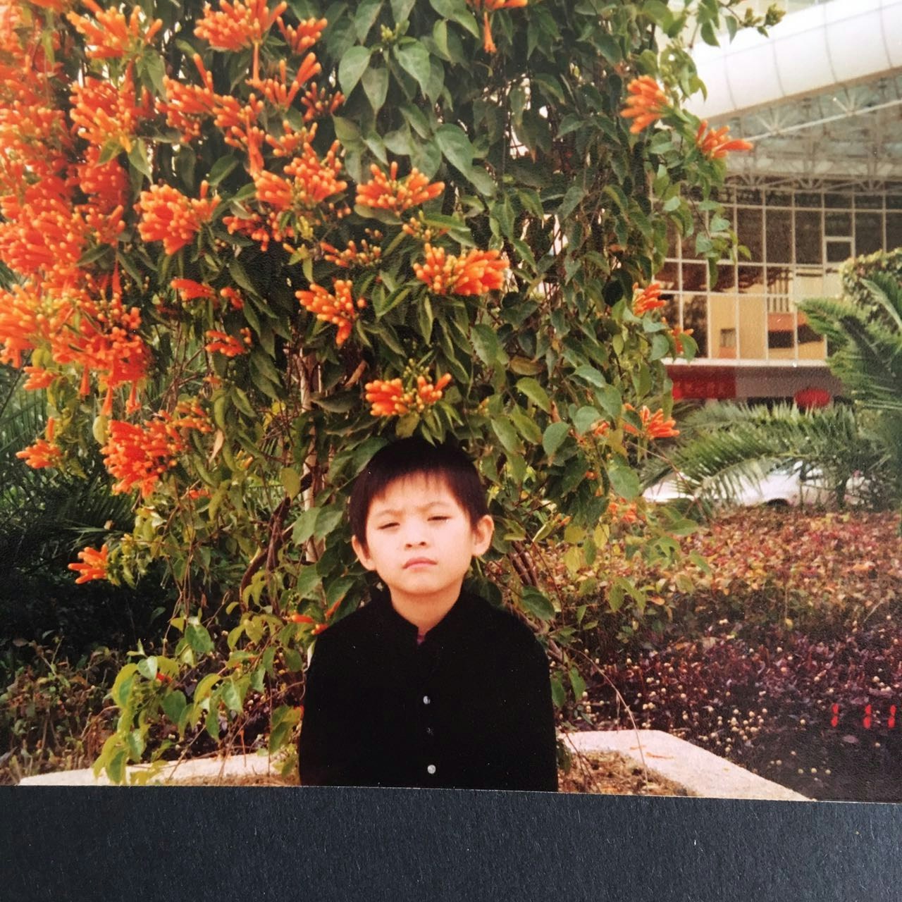 Go to Jocelyn Wong's profile