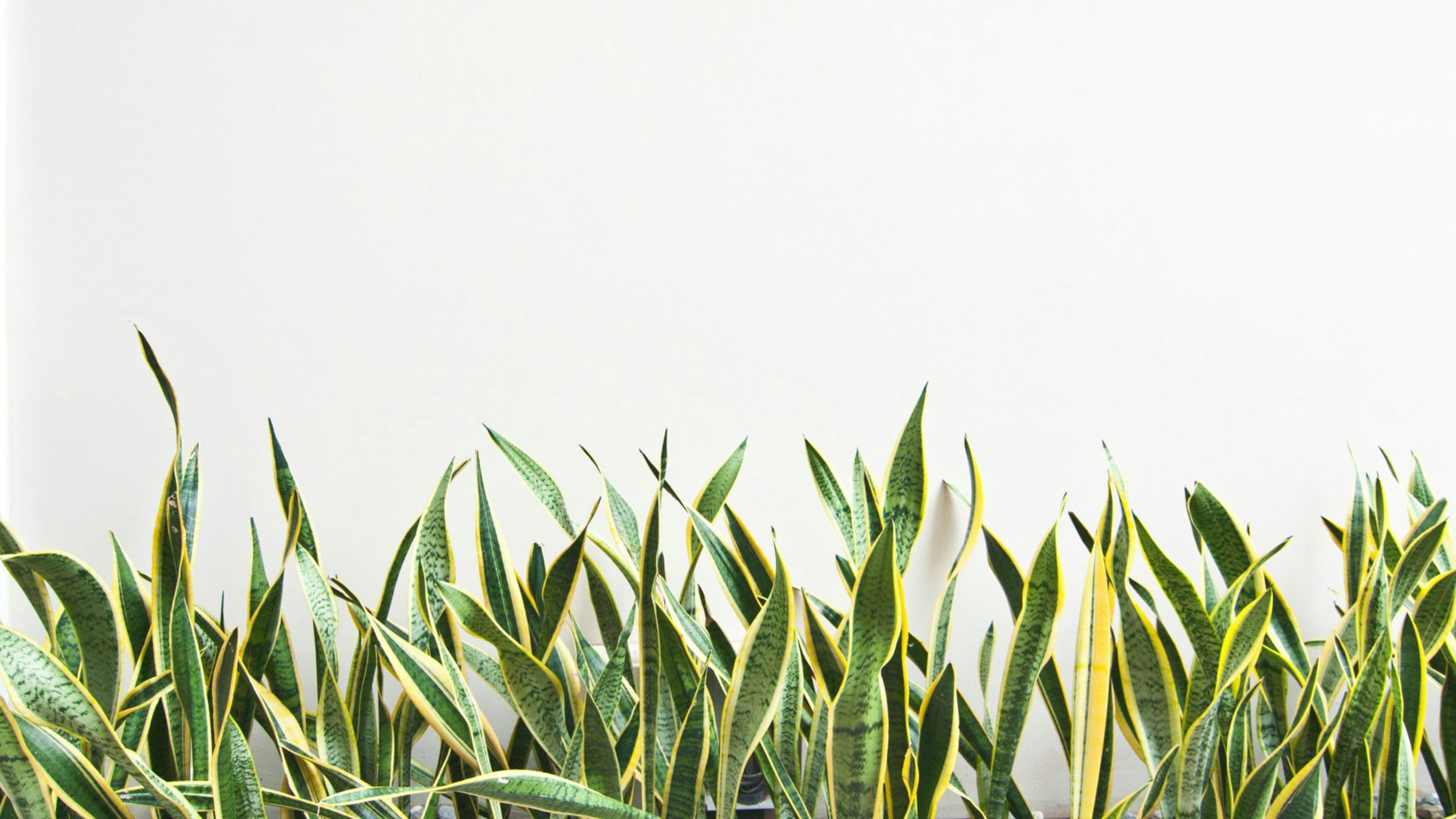 Go to Charli Jenkins's profile