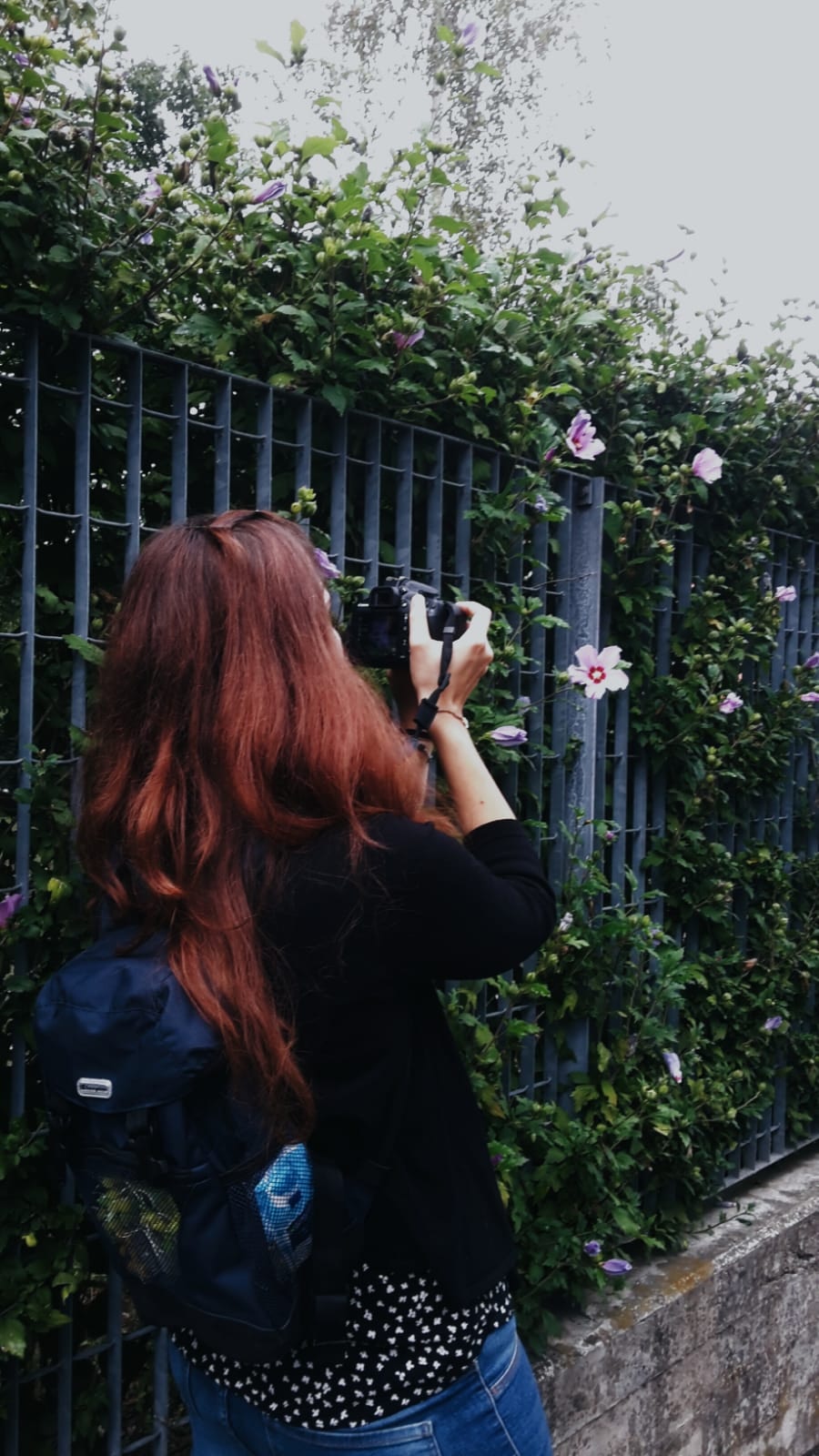 Go to Raffaella Tommaso's profile