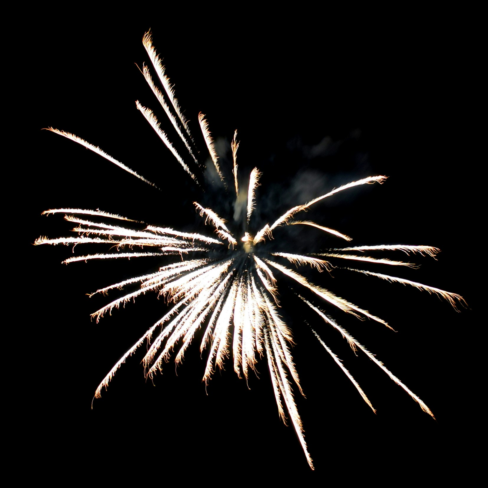 Go to Anna Gru's profile