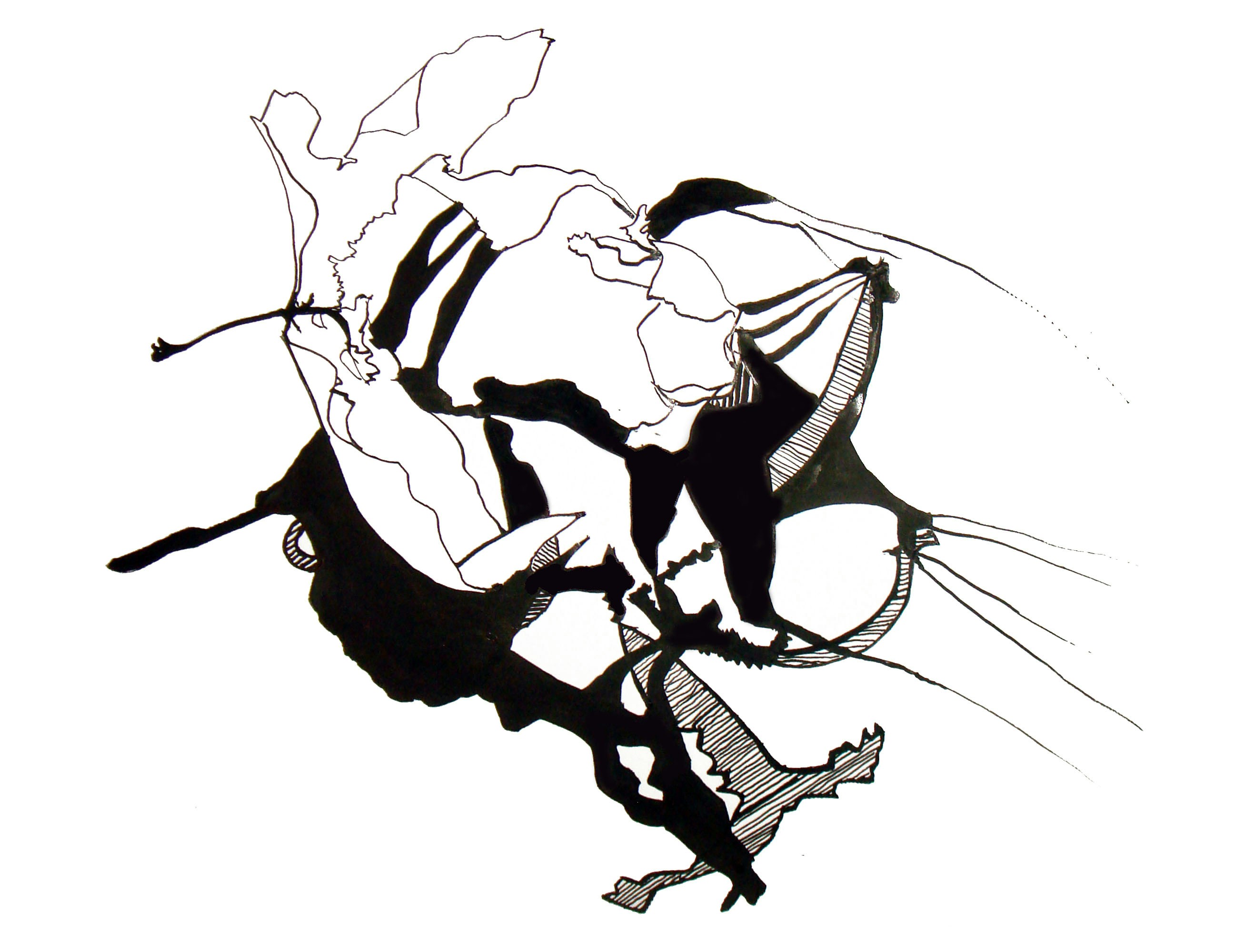 Go to Lily Tsutsumida's profile