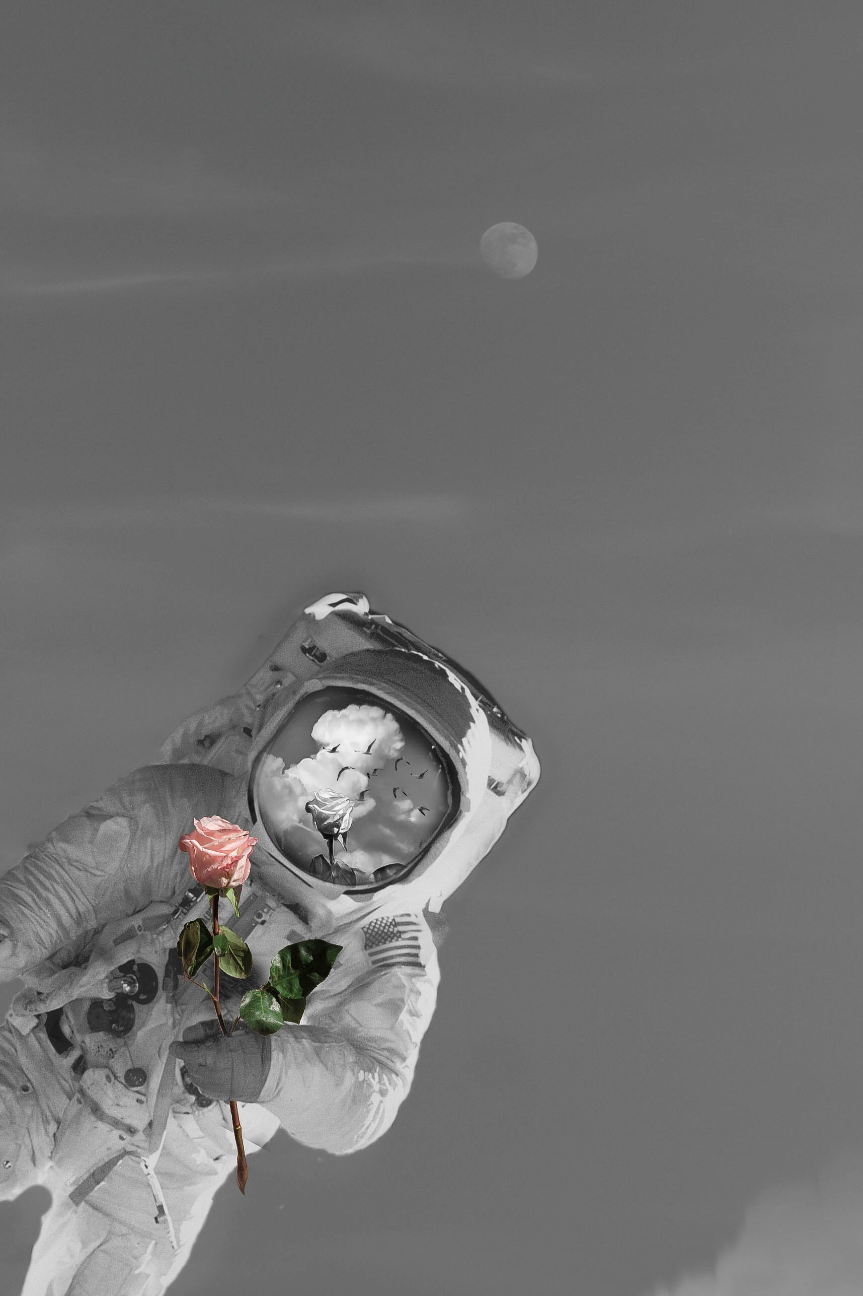 Go to Dominik Francis's profile