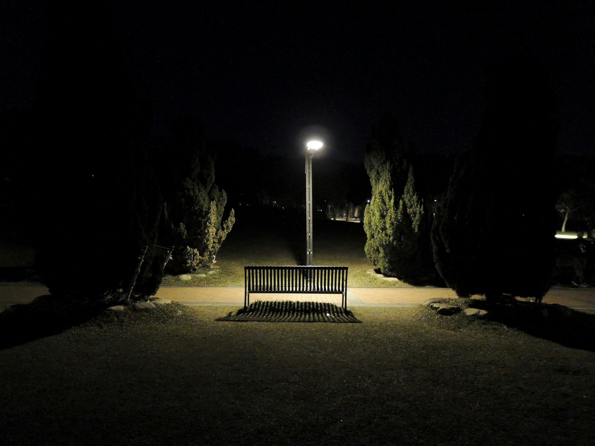 Go to Toby Tang's profile