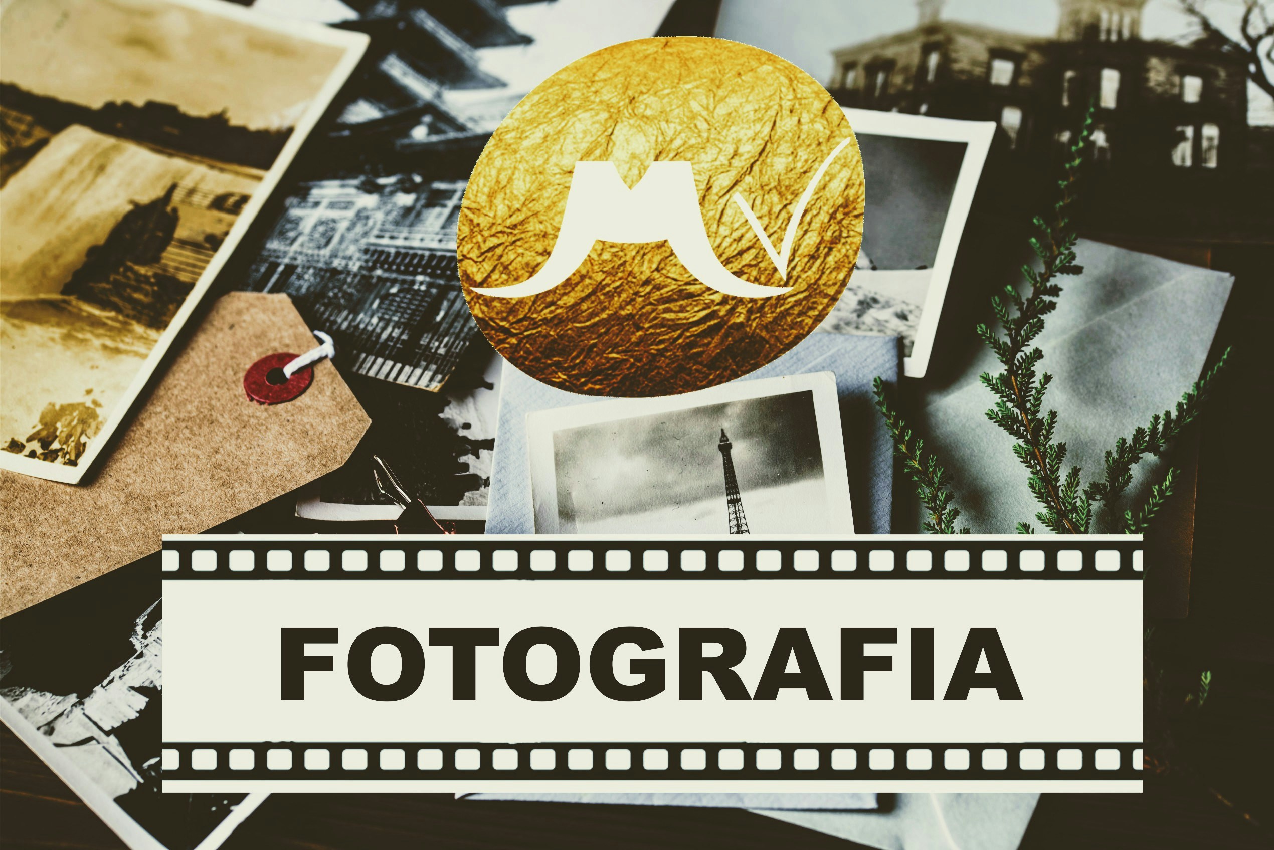 Go to More Than Overcomer Photography's profile