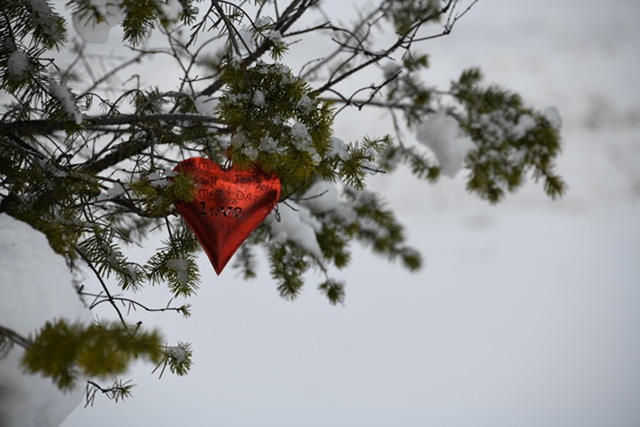 Go to Shelley Pauls's profile