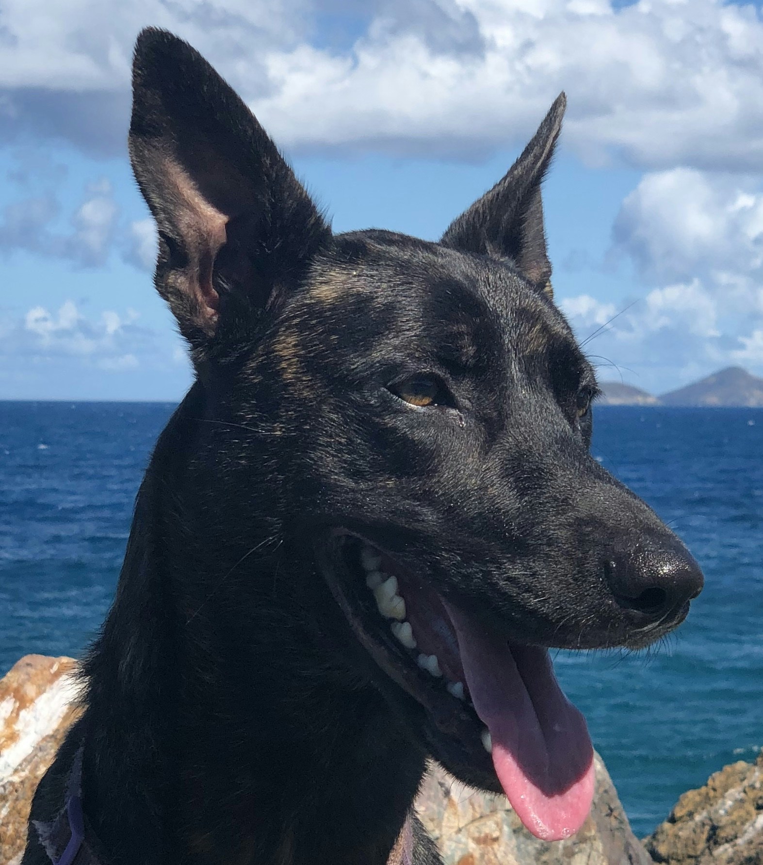 Accéder au profil de Grayton Goldsmith