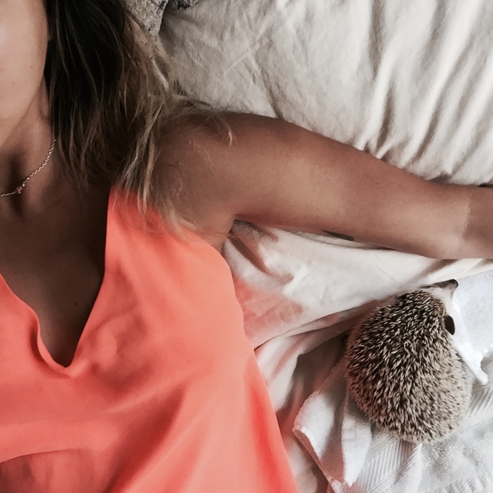 Go to Megan Campagnolo's profile