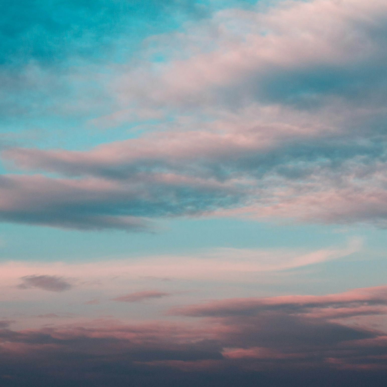 Go to Emmeline T.'s profile