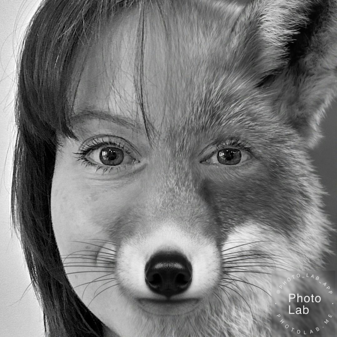 Go to Elena Zalivochkina's profile