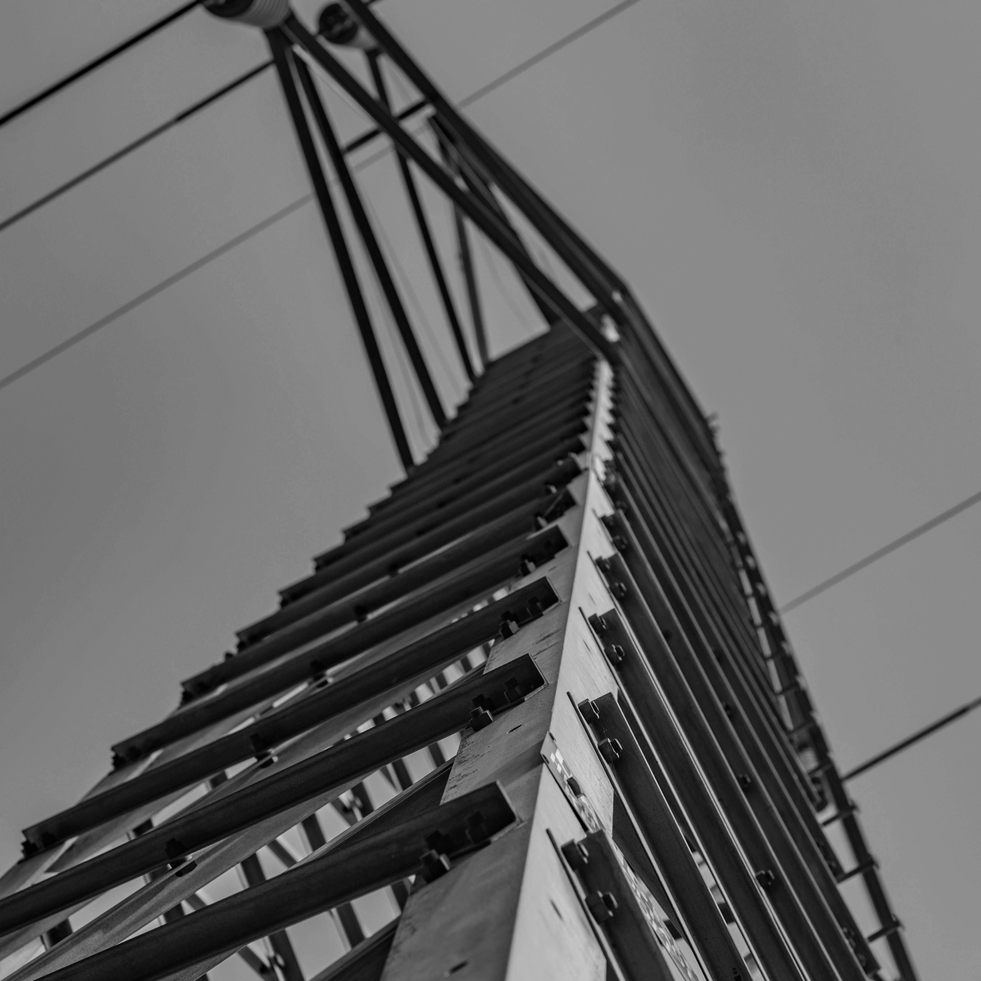 Ve al perfil de Peyton Sickles