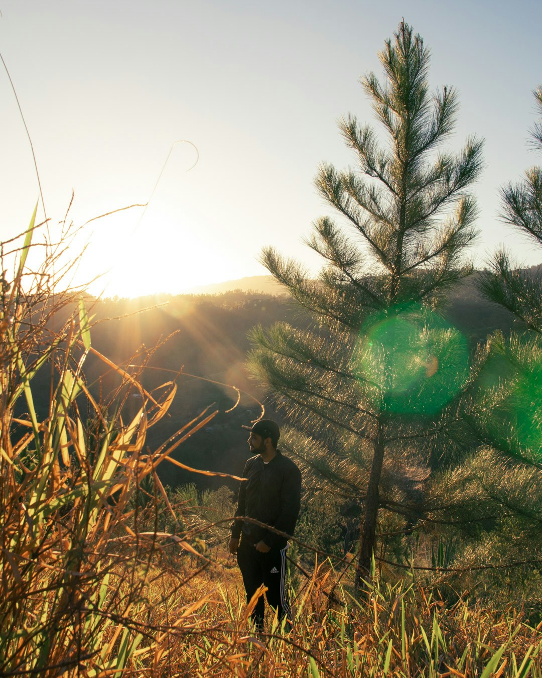 Go to Juanca Paulino's profile