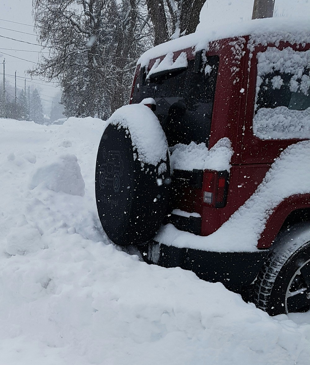 Go to Stephanie Vann's profile