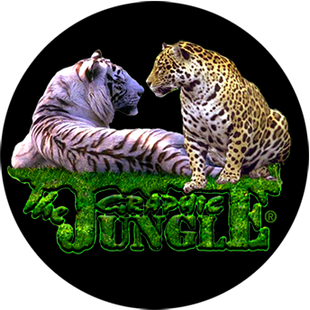 Go to rolf neumann's profile