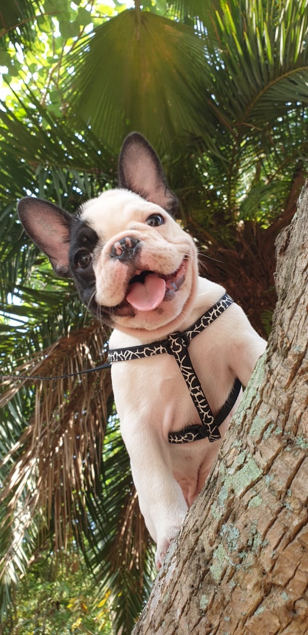 Zum Profil von Michelle Francisca Lee