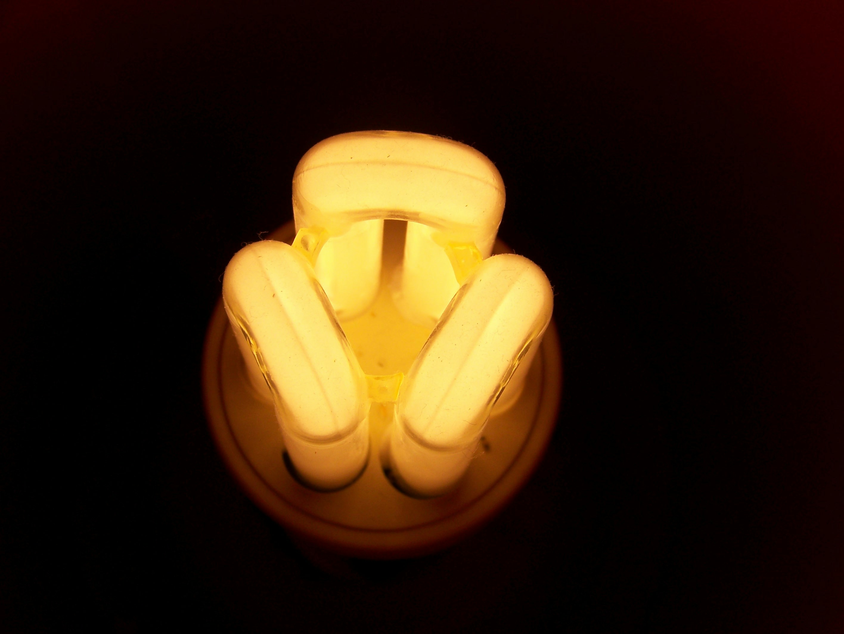 Ve al perfil de Monika MG