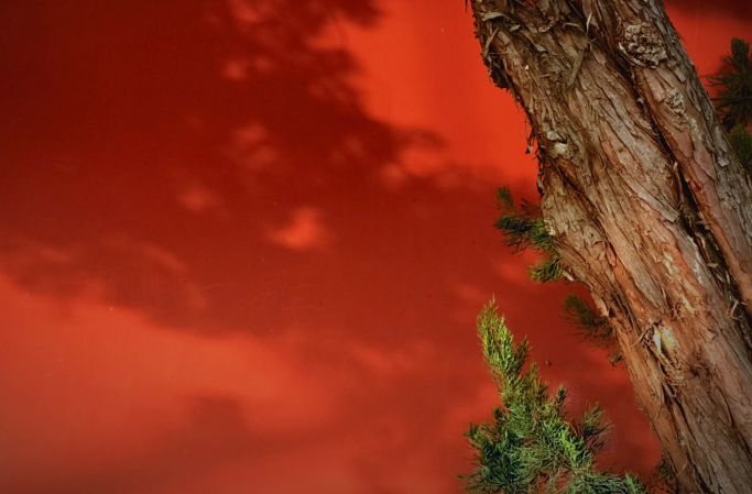 Go to Yilin's profile