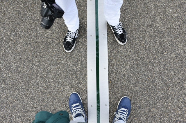 Go to Jayden Wong's profile