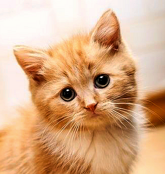 Go to Jim Varga's profile