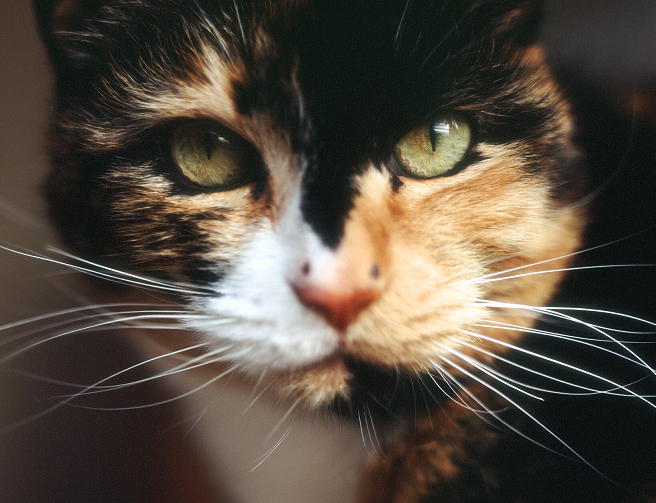 Go to Erika's profile