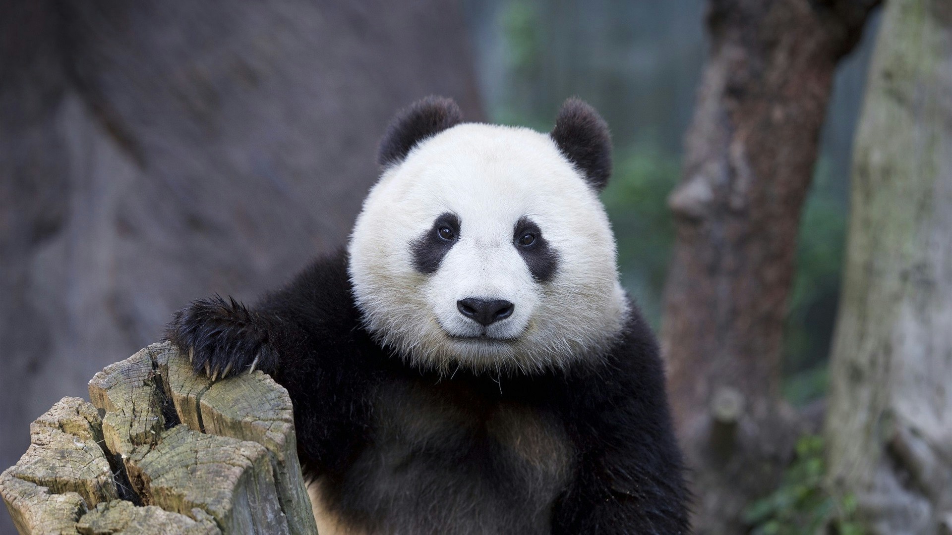 Avatar of user ComeOn SetSail