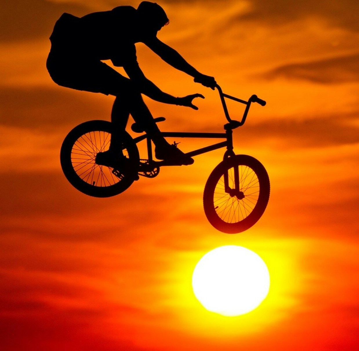 Avatar of user ANDY ZHANG