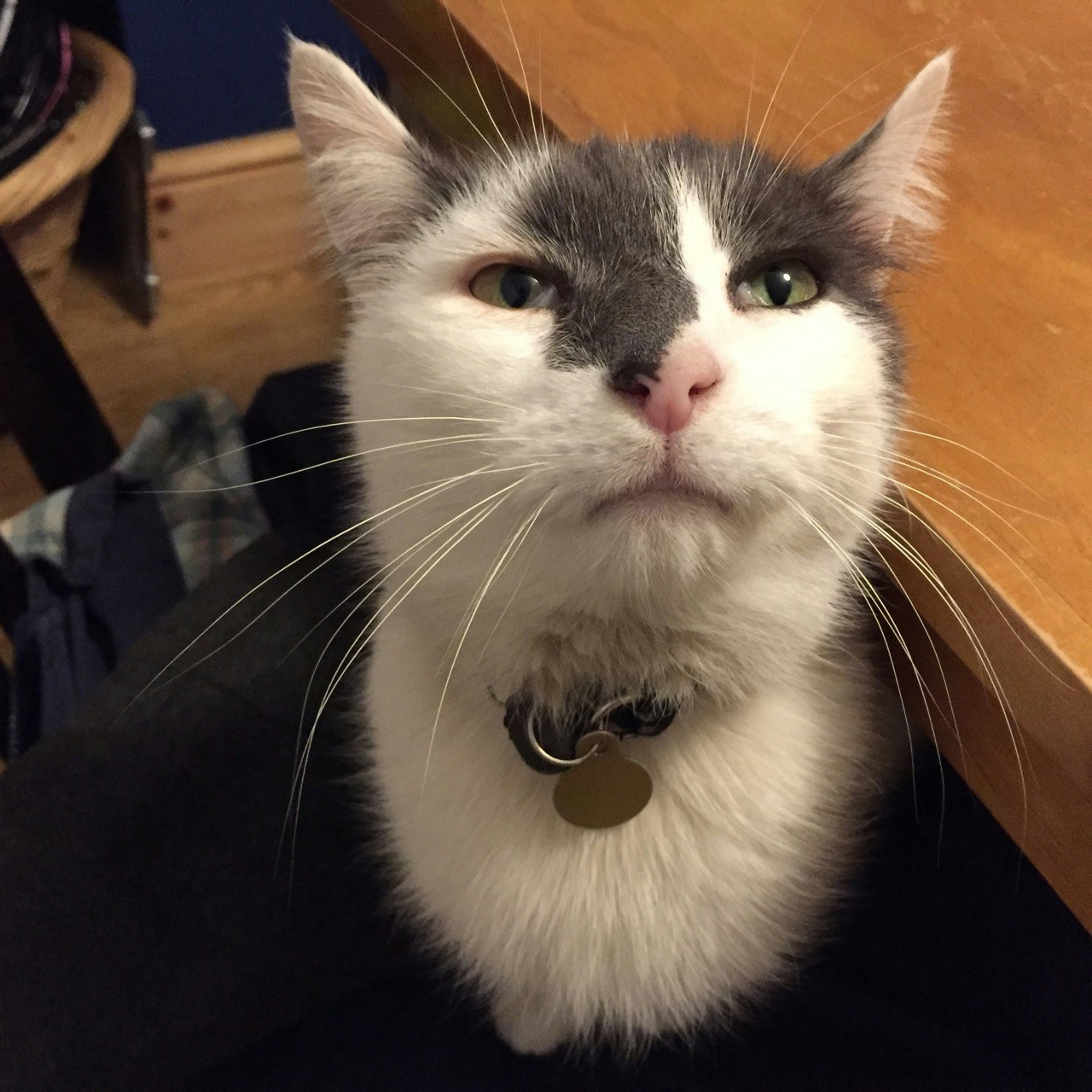 Vai al profilo di Caleb Chen