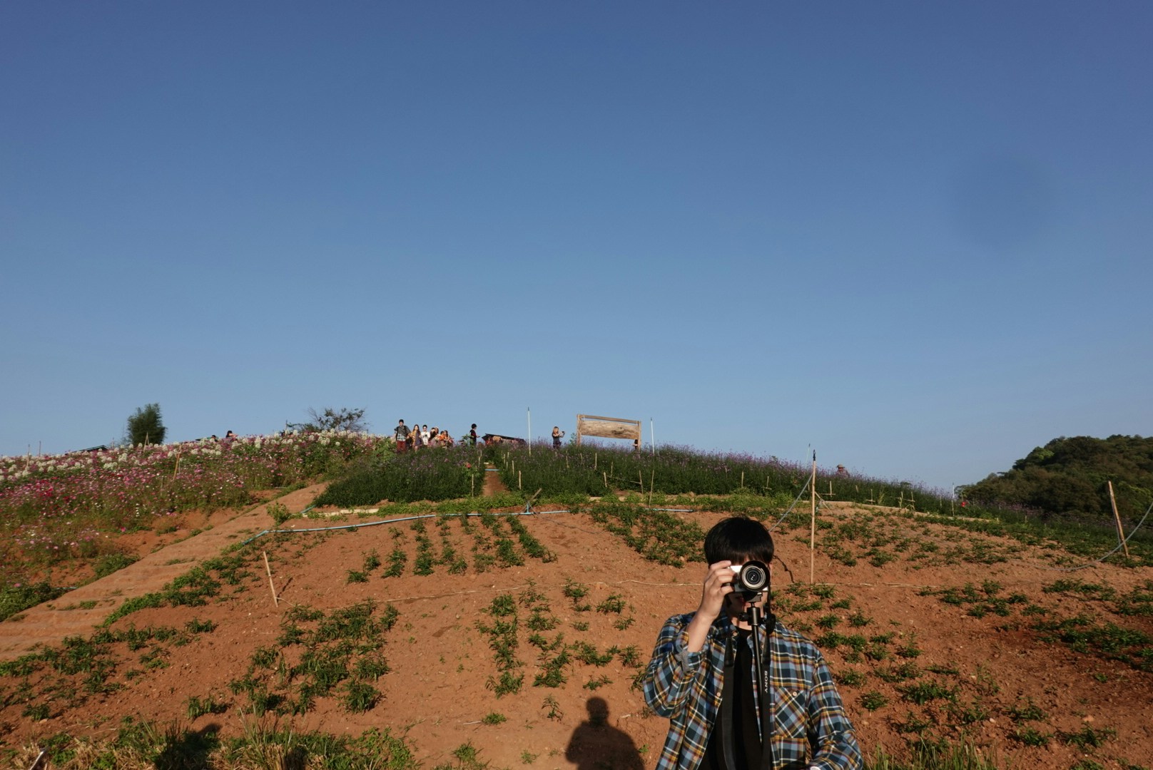 Go to MJ Haru's profile