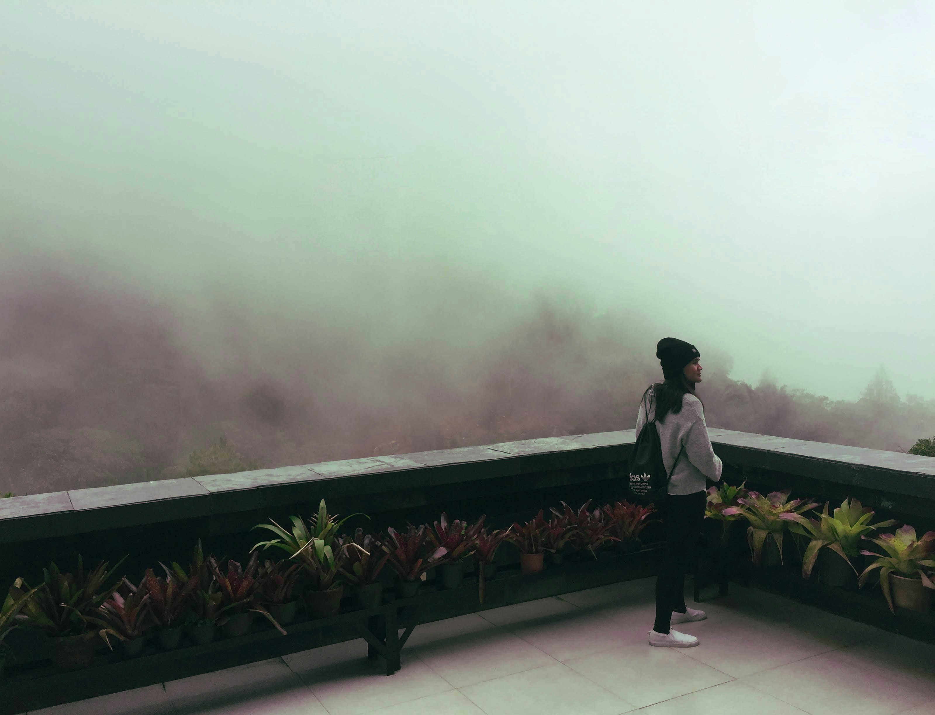 Go to Maricar Viray's profile