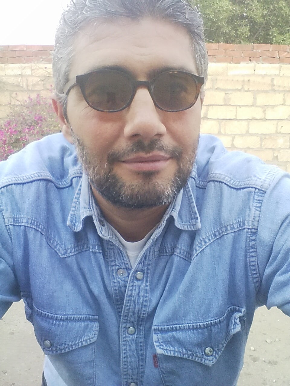 Go to ramy seada's profile