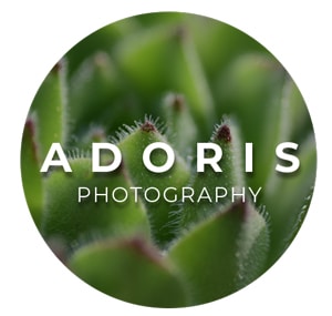 Ve al perfil de Dorelys Smits