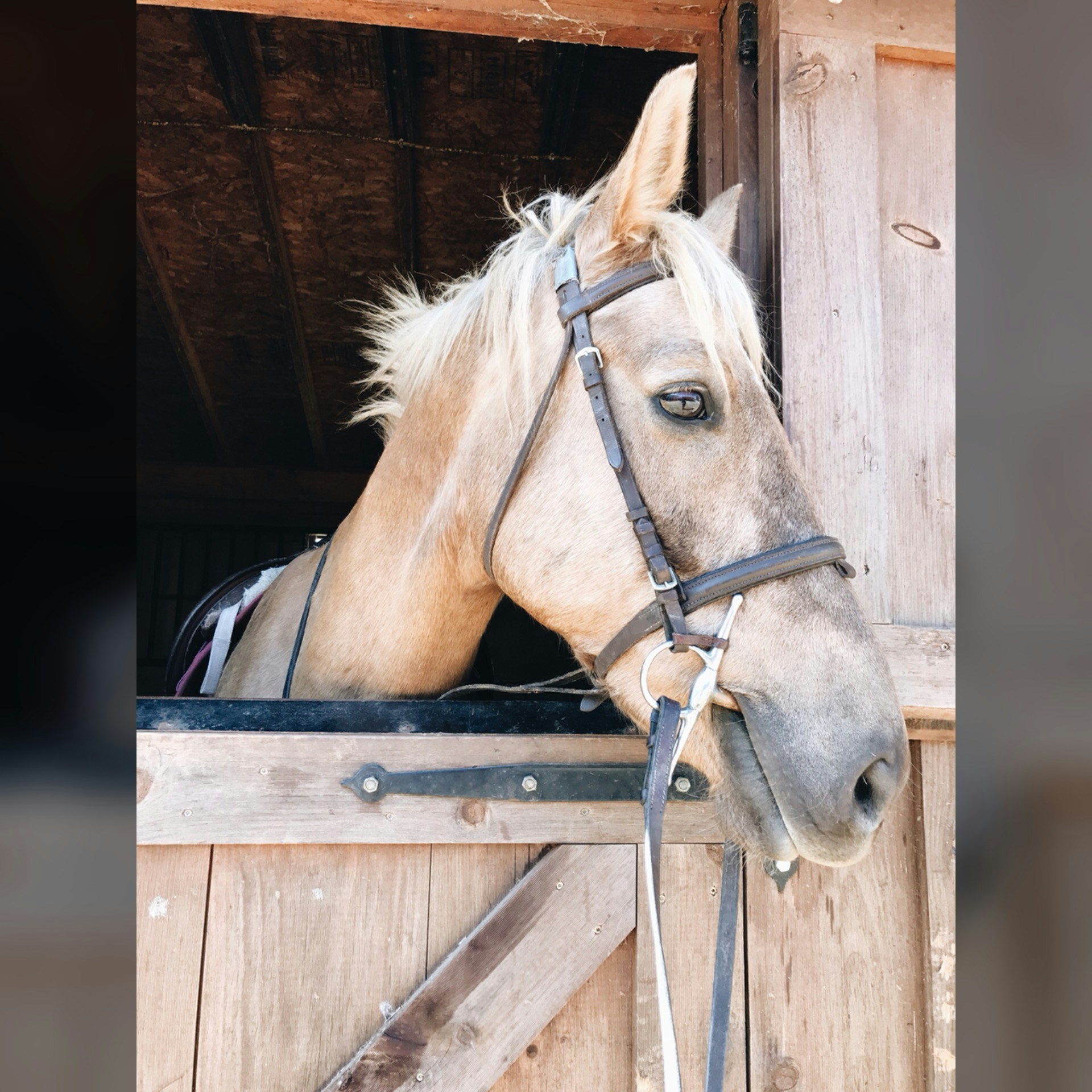 Go to Alaina McLearnon's profile