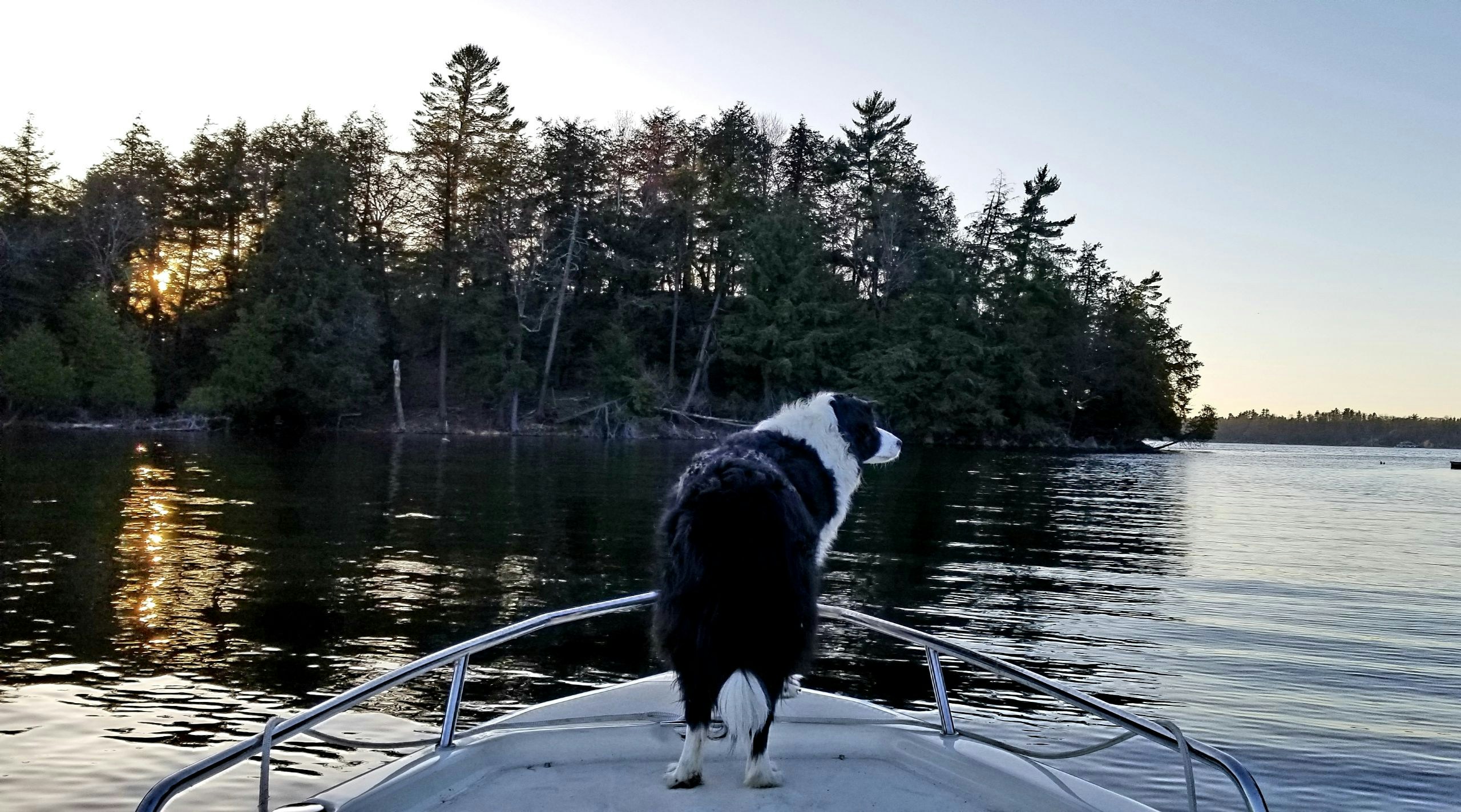 Go to Molly McTater's profile