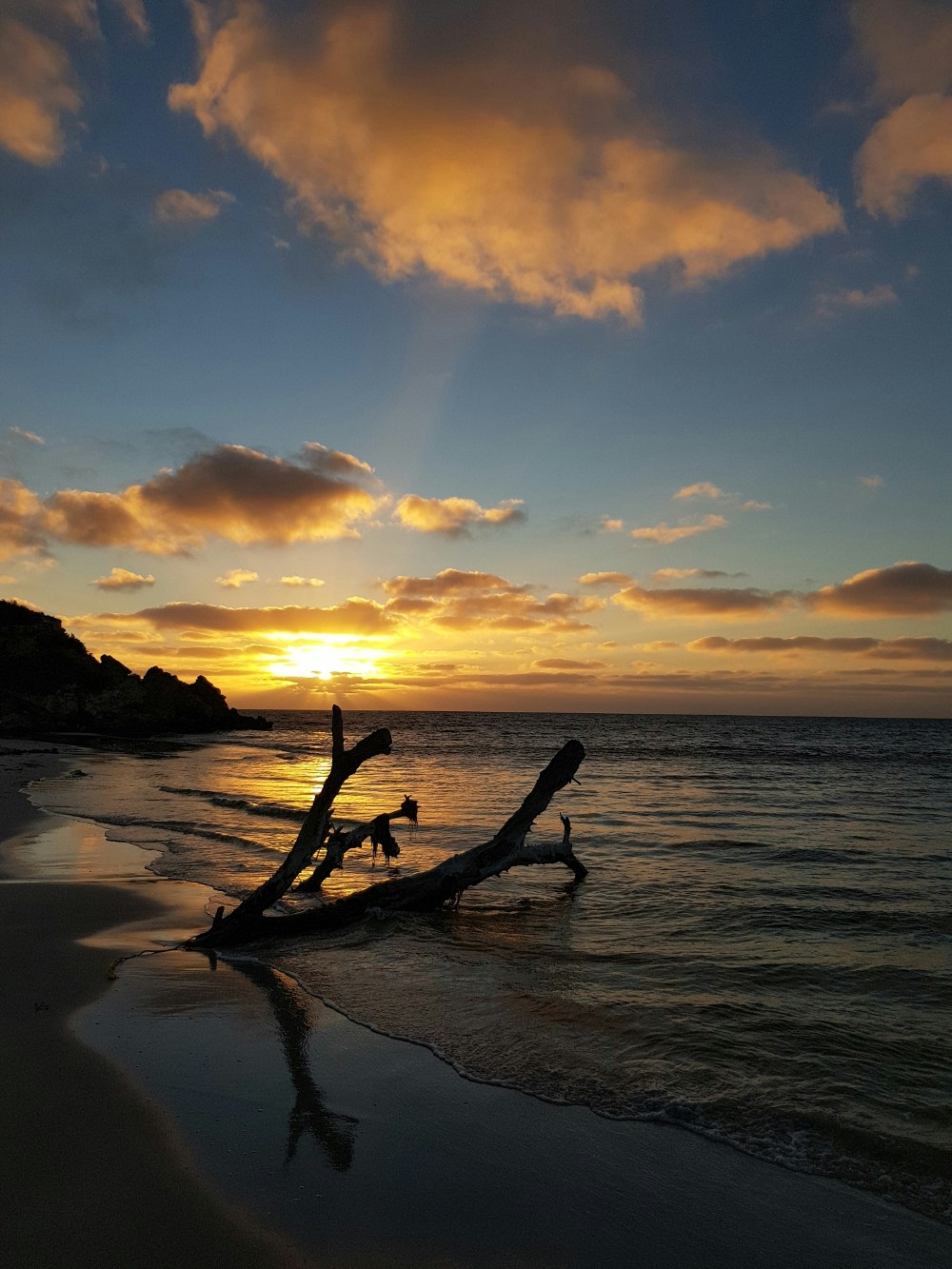 Go to Annika's profile