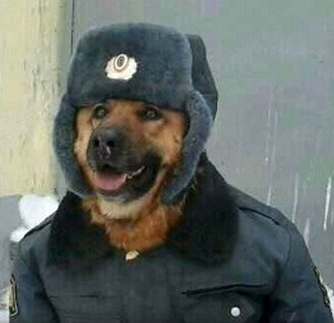 Go to Nikolay Vybornov's profile