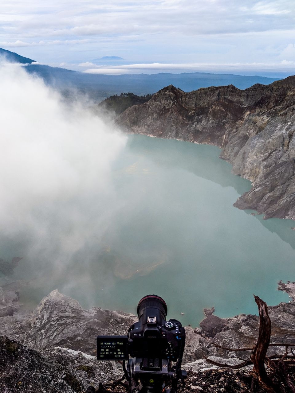 Go to Pan Species's profile