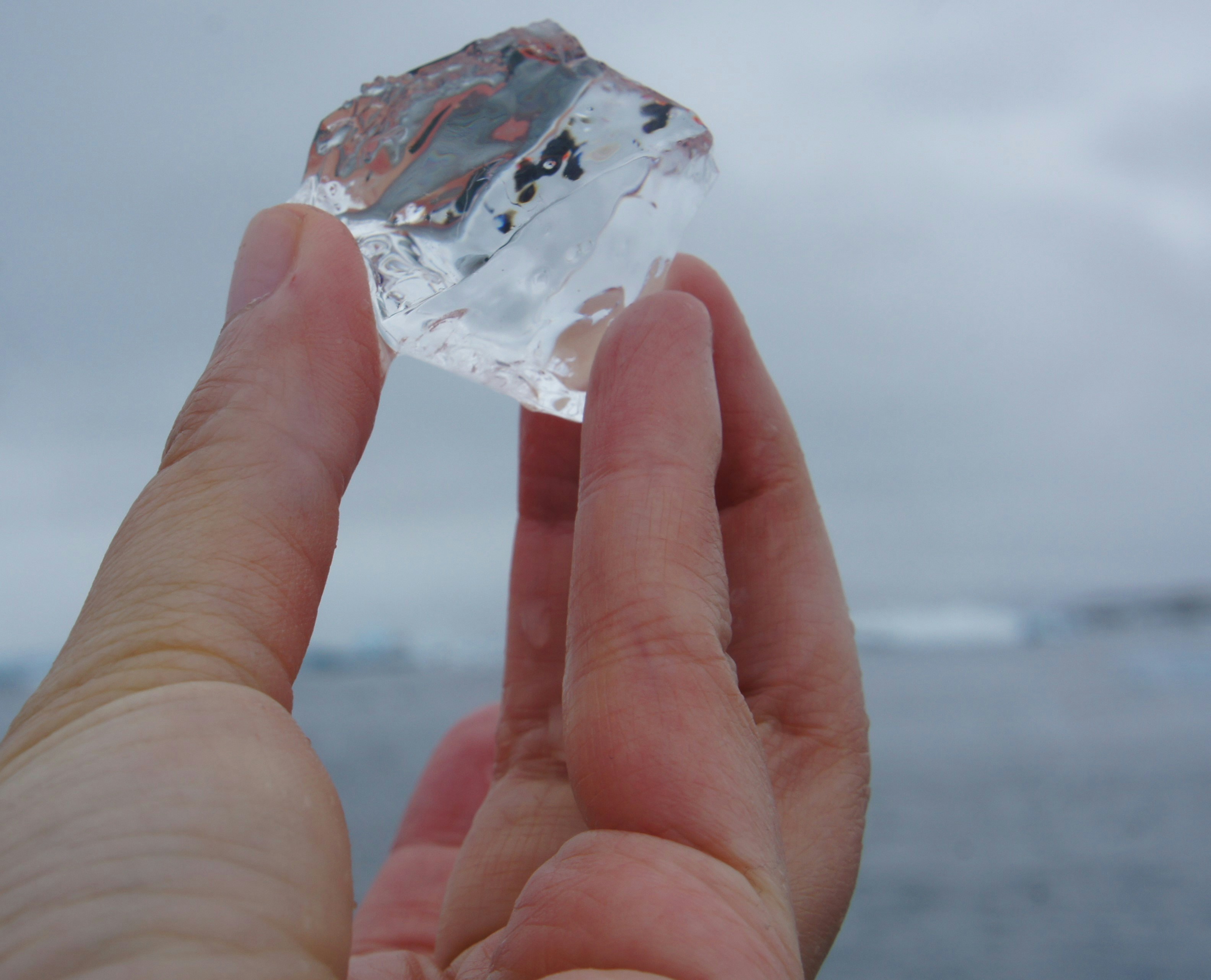 Zum Profil von Yi Duo