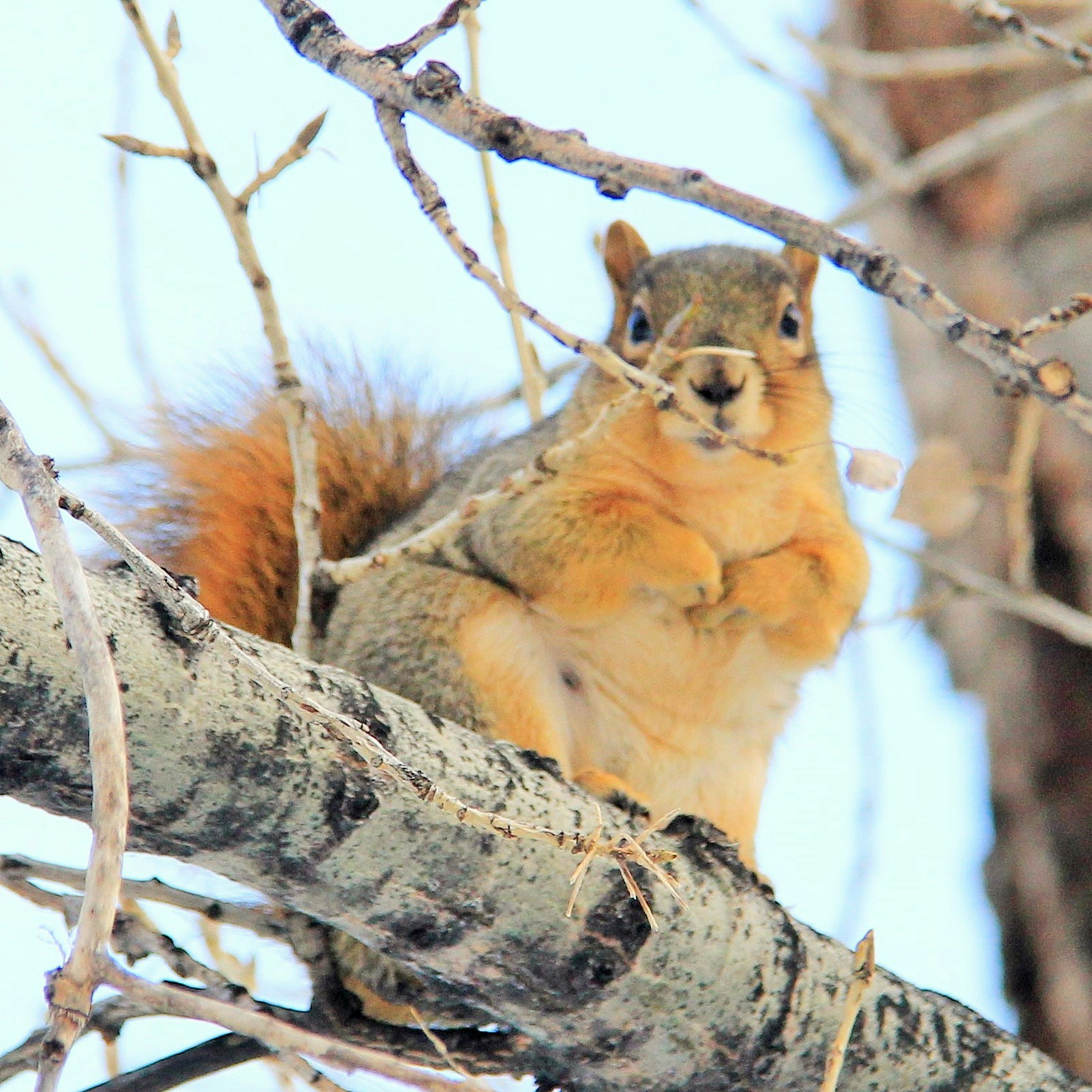 Go to Justin Wang's profile