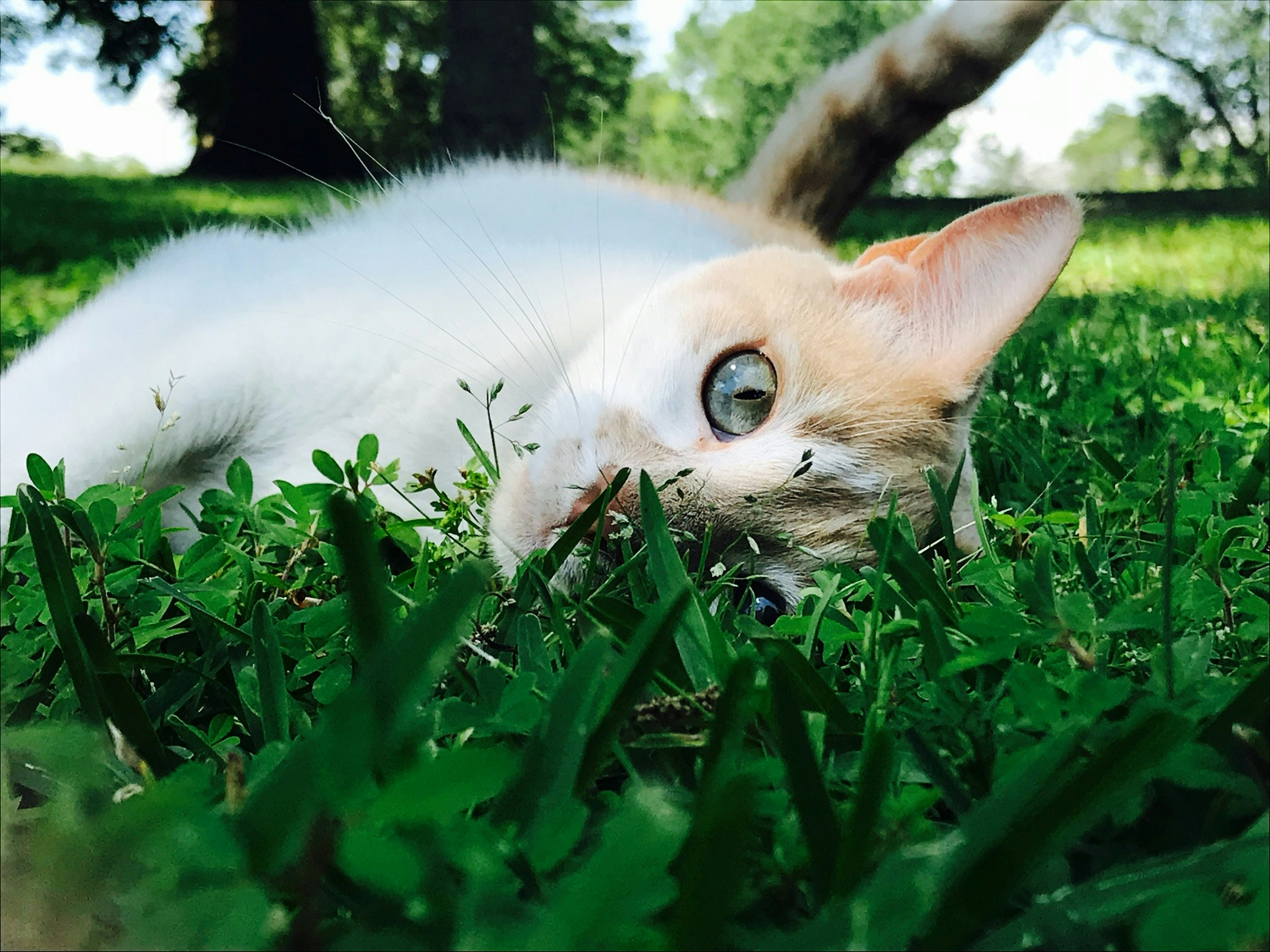 Avatar of user anna breaux