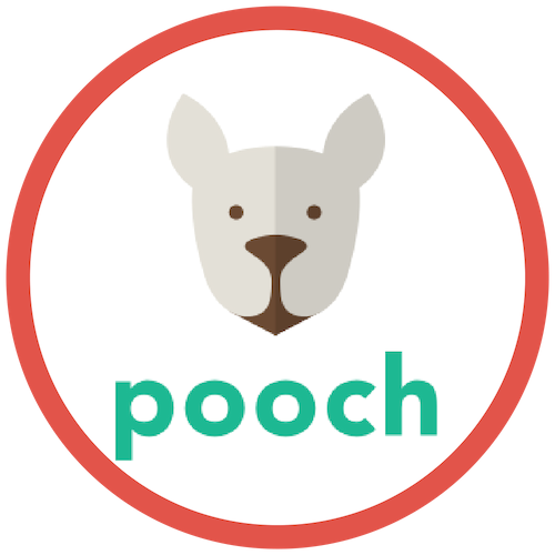 Unsplash profile picture for @pooch