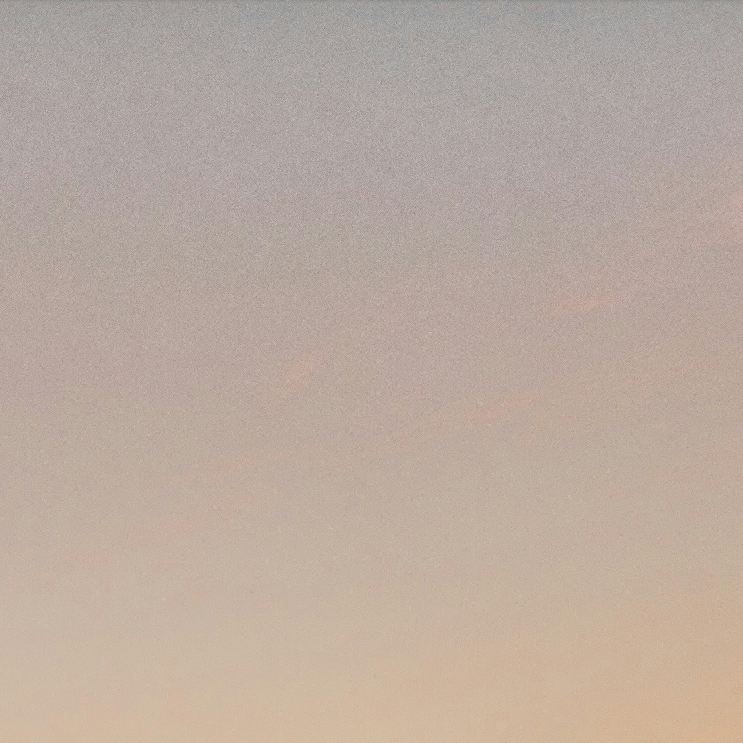 Avatar of user Lowie Vanhoutte