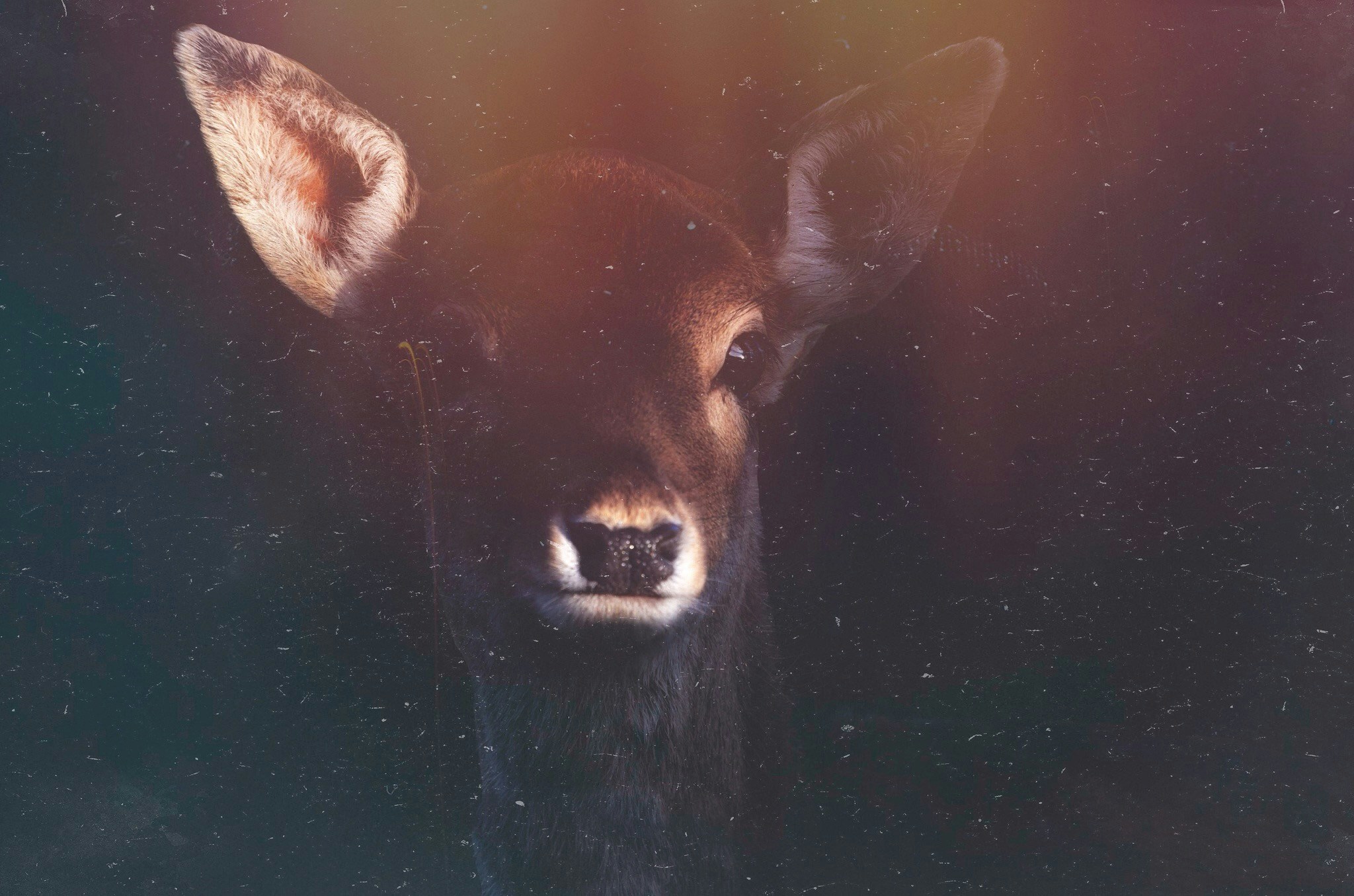 Go to Siska Vrijburg's profile