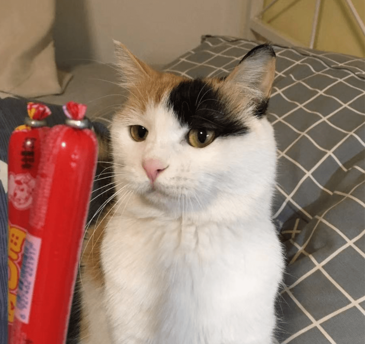 Go to ecmadao .'s profile