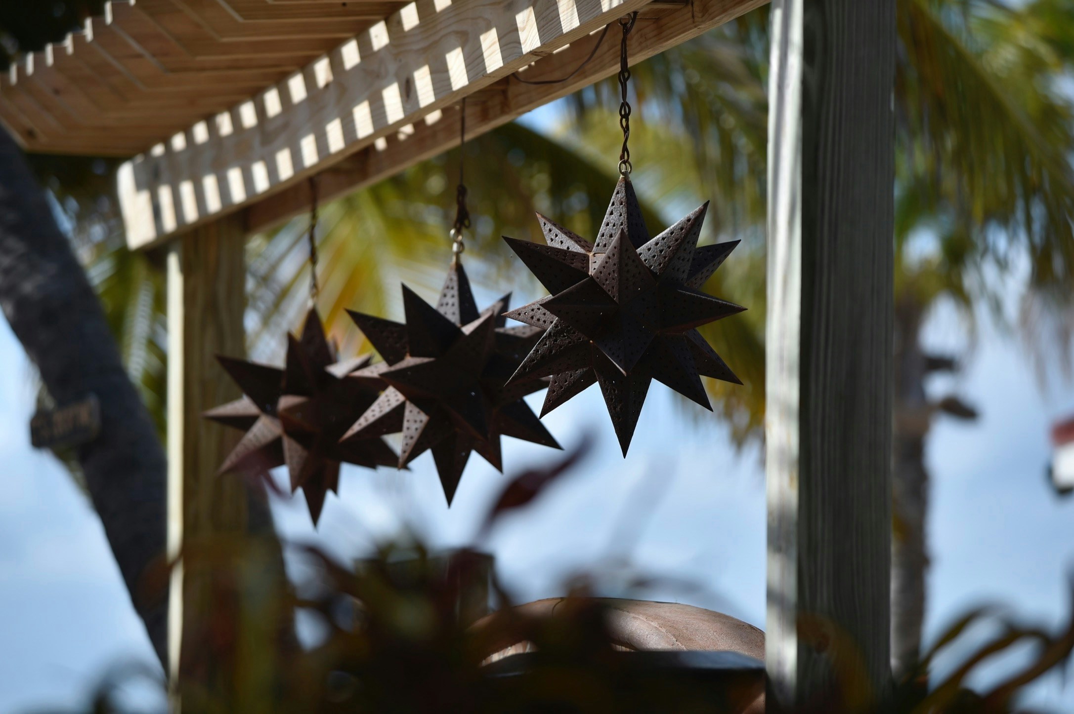 Zum Profil von Steven Taylor